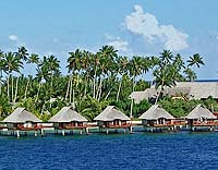 Overwater Bungalows - Tahiti